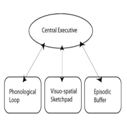 Schematic of Baddaley's model.