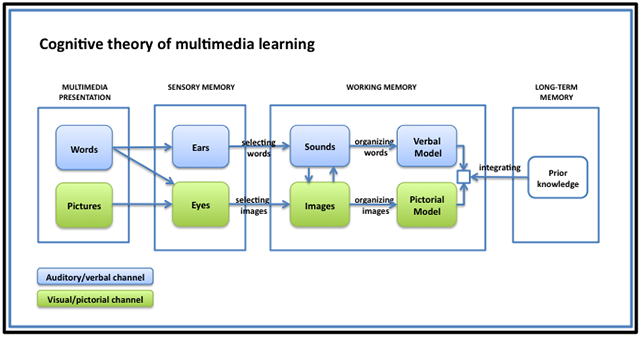 learning theories cognitive theory of multimedia learning