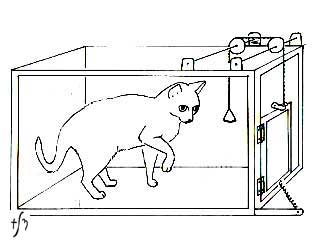 Thorndike's cat experiment (Image borrowed from: History of Psychology: American Behaviorism. Click on the picture to follow the link.))  
